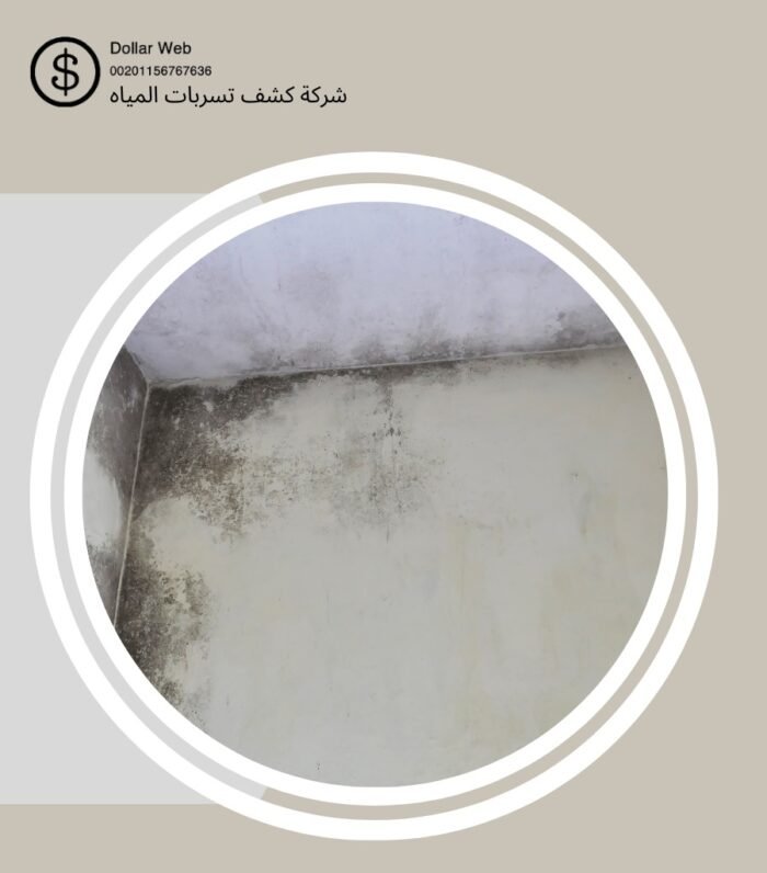 شركة كشف التسرب الاحساء