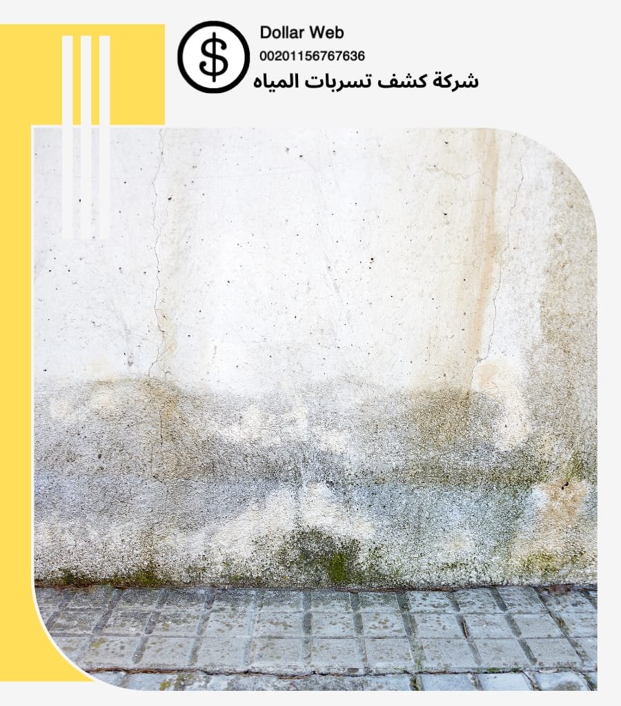سباك كشف تسربات بالاحساء